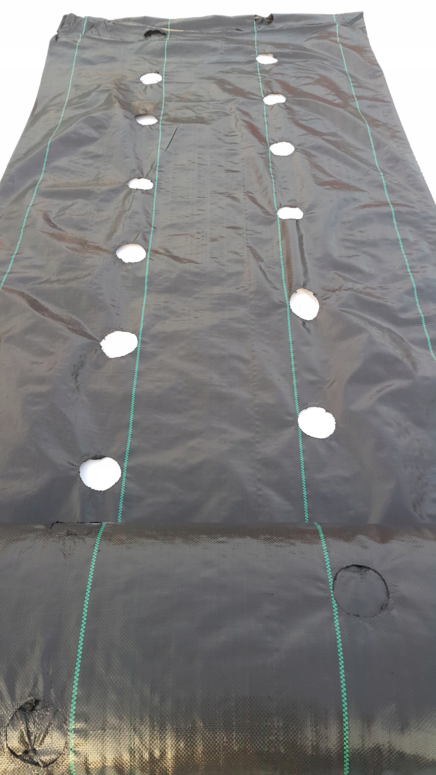 

Agrotkanina z Otworami pod Truskawki 80 cm x 10 m