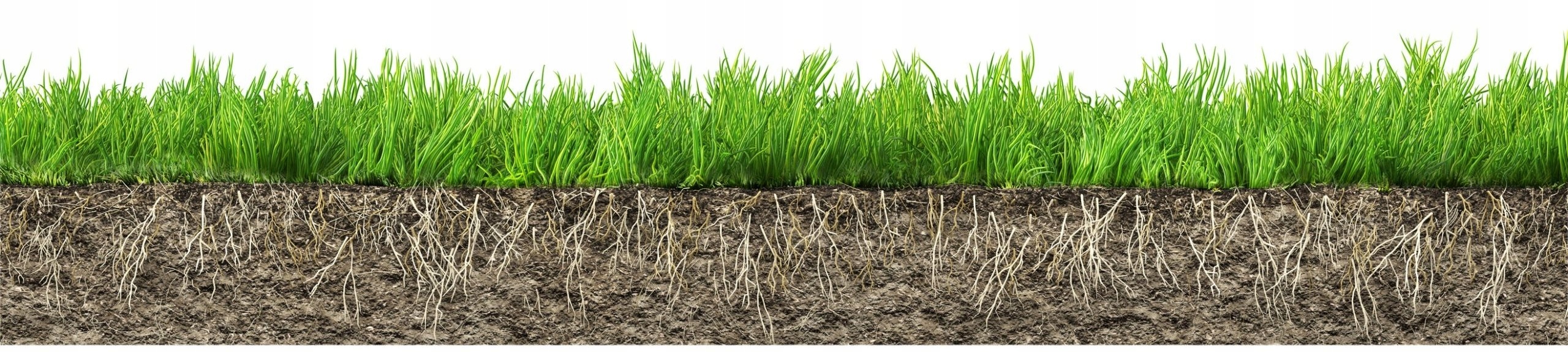 Agrożel, hydrożel do roślin 10Kg PROMOCJA !!! EAN (GTIN) 841791019419