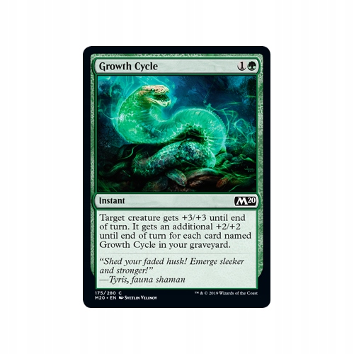 Mtg 4x Growth Cycle