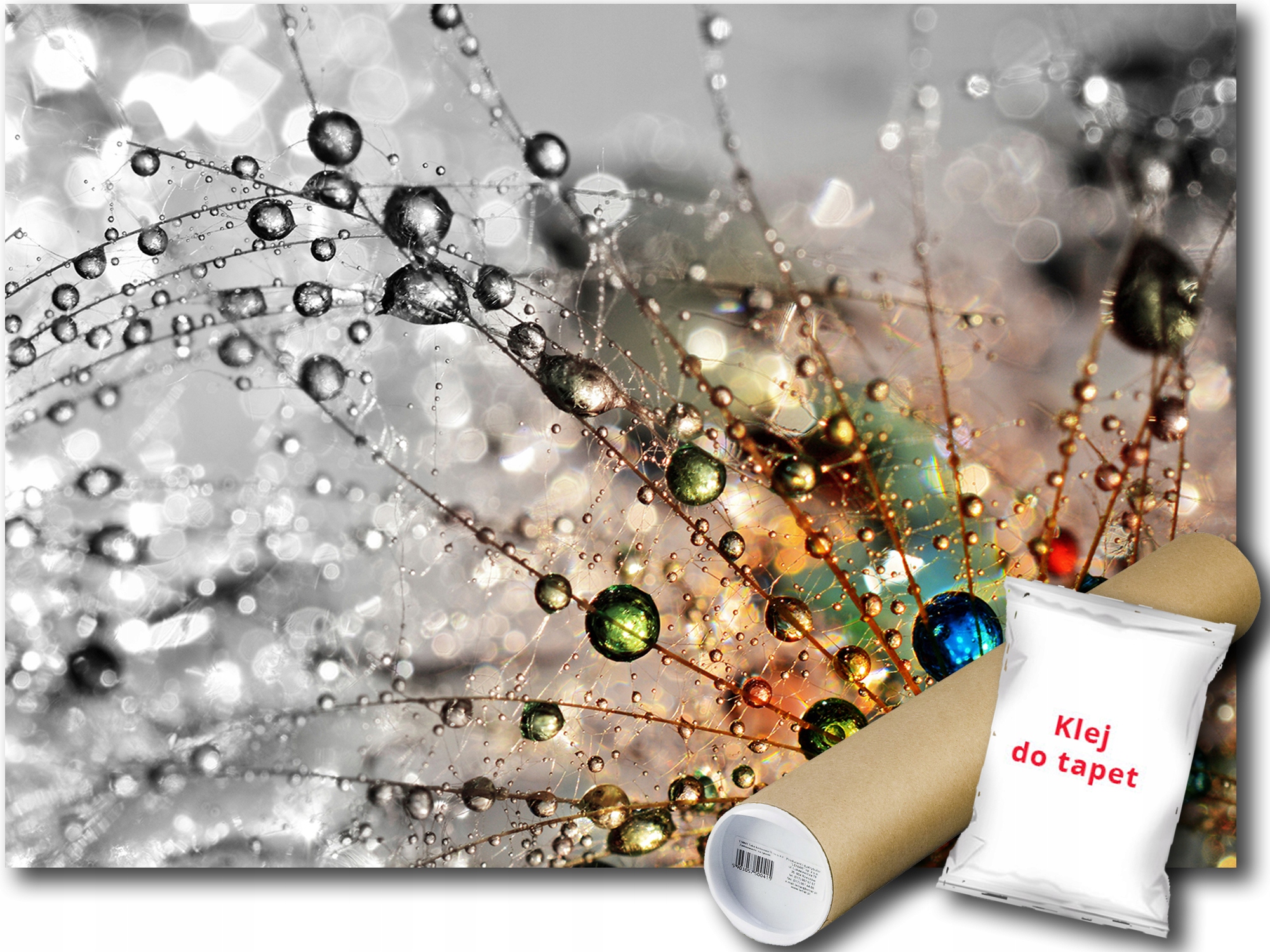 Fototapeta Pampeliška 9A V4 254x184 F13040