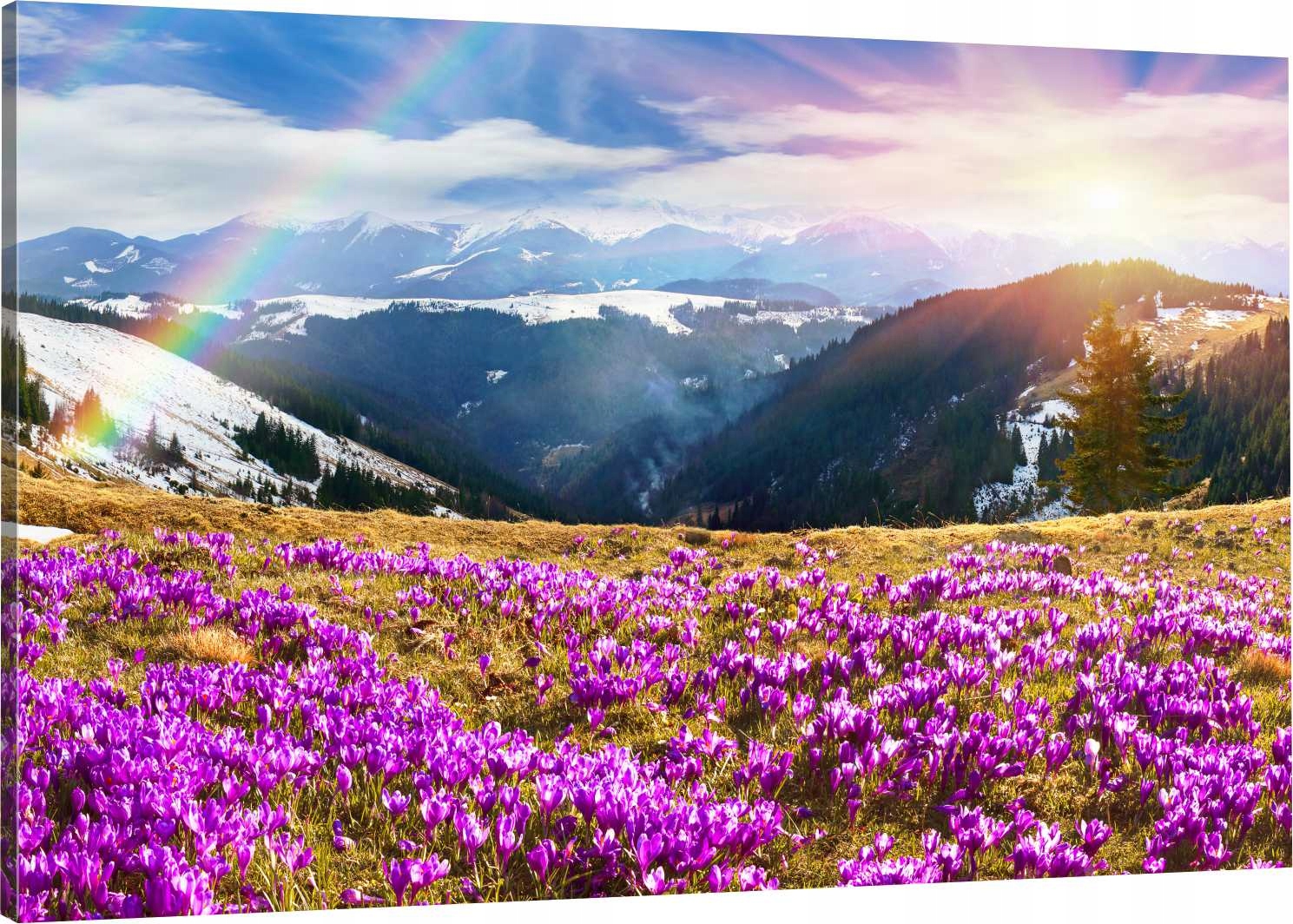 

Obraz Na Płótnie Do Salonu Krokusy Góry 70x50