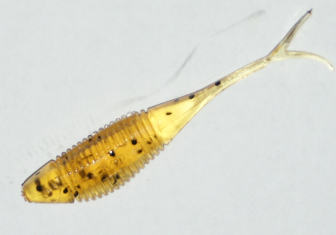 

Mikado jaskółka Fish Fry 5,5cm kol.350