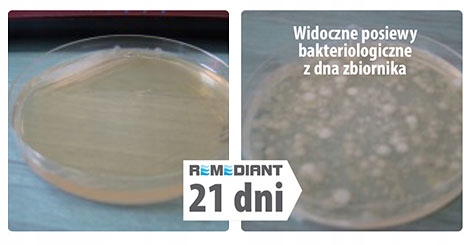 REMEDIANT 500g NATURALNE BAKTERIE DO OCZKA WODNEGO Kod producenta 5908280716817