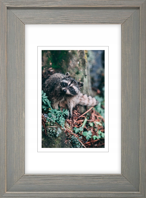 

Ramka Na Zdjęcia Szara Rama 24x30 CM