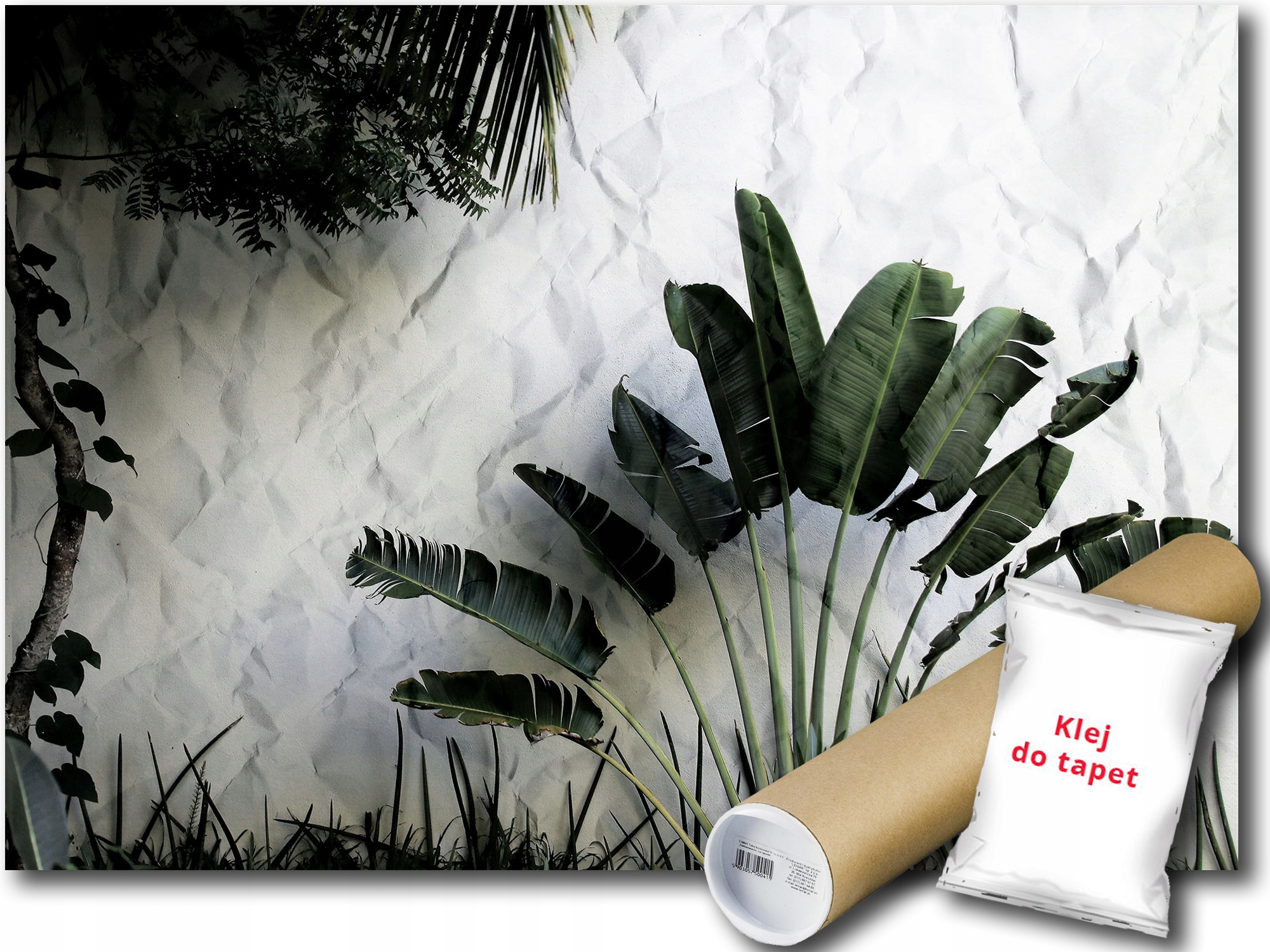 Fototapeta Listy Stromek 9E F2XL 312x219 F12595