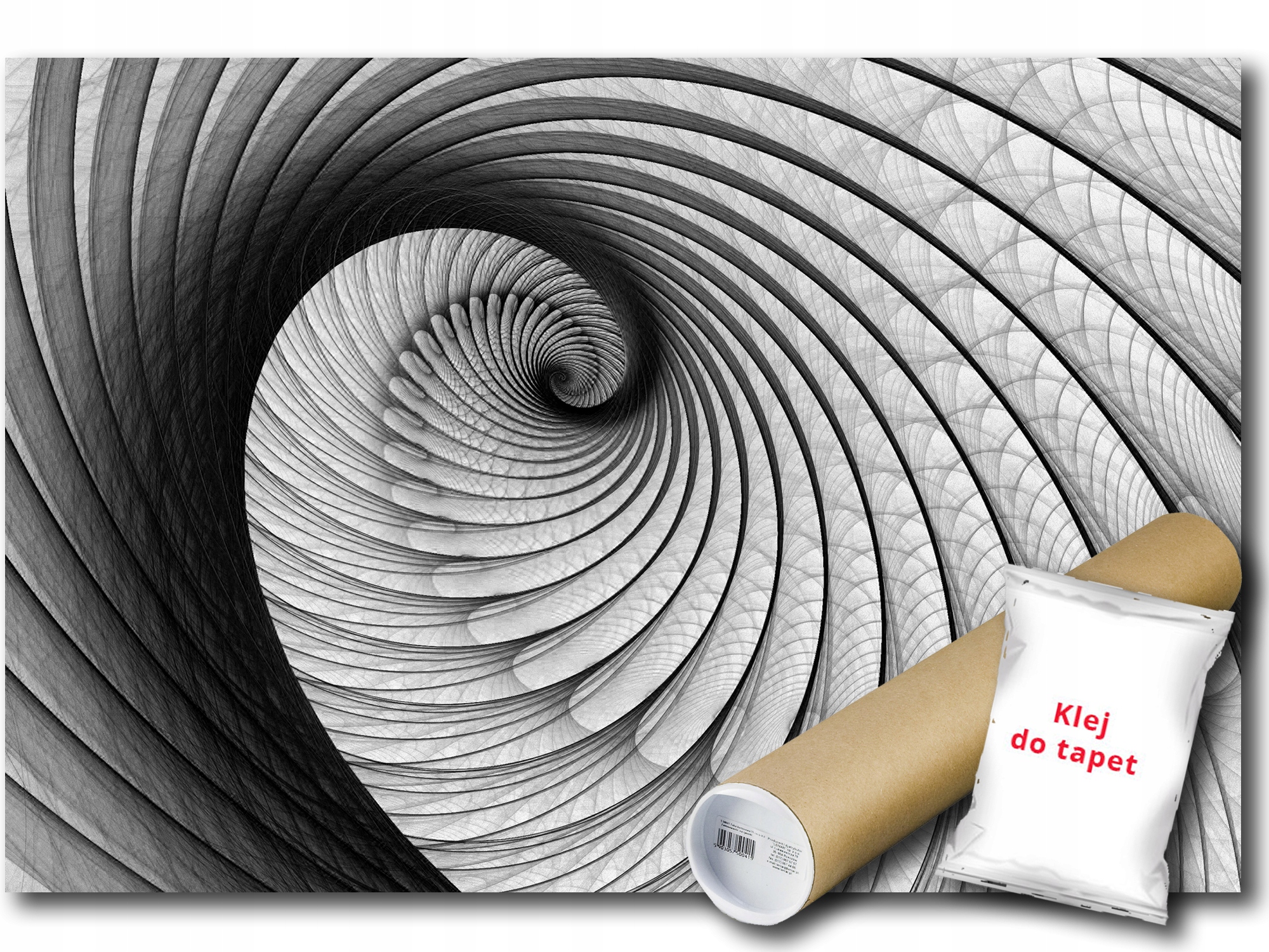 

Fototapeta Muszla Wir 11A F2XL 312x219 F322