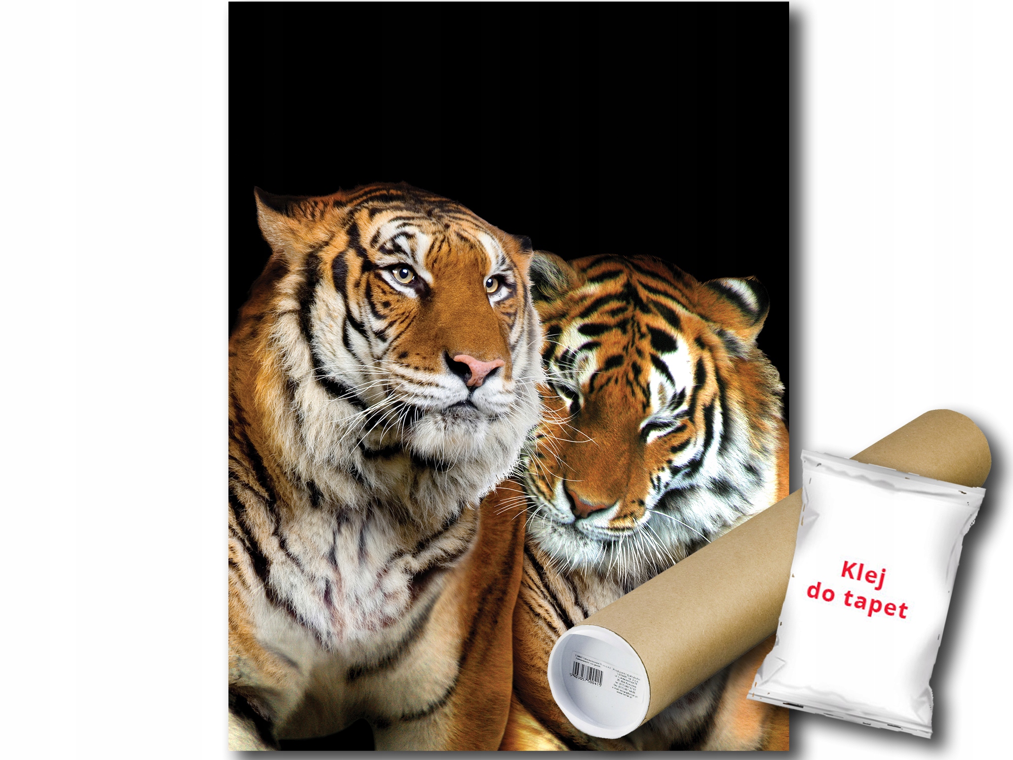 Fototapeta Tygři 12C Panxl 206x275 F10173