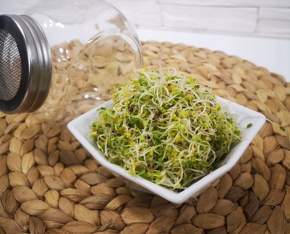 BROKUŁ nasiona na Kiełki 100g Waga 100 g