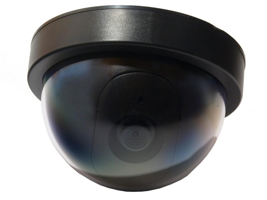 ATRAPA KAMERY DC2100