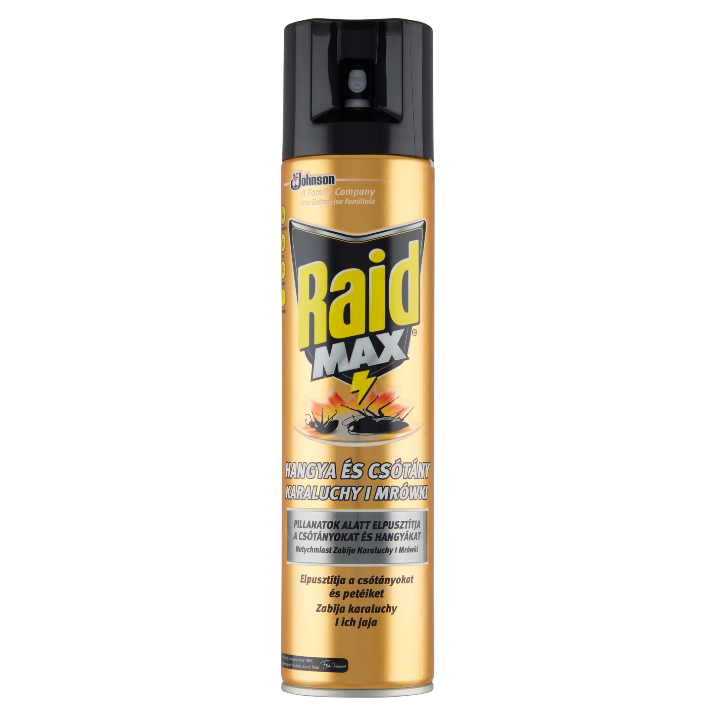 

Raid aerozol przeciw owadom biegającym 400ml