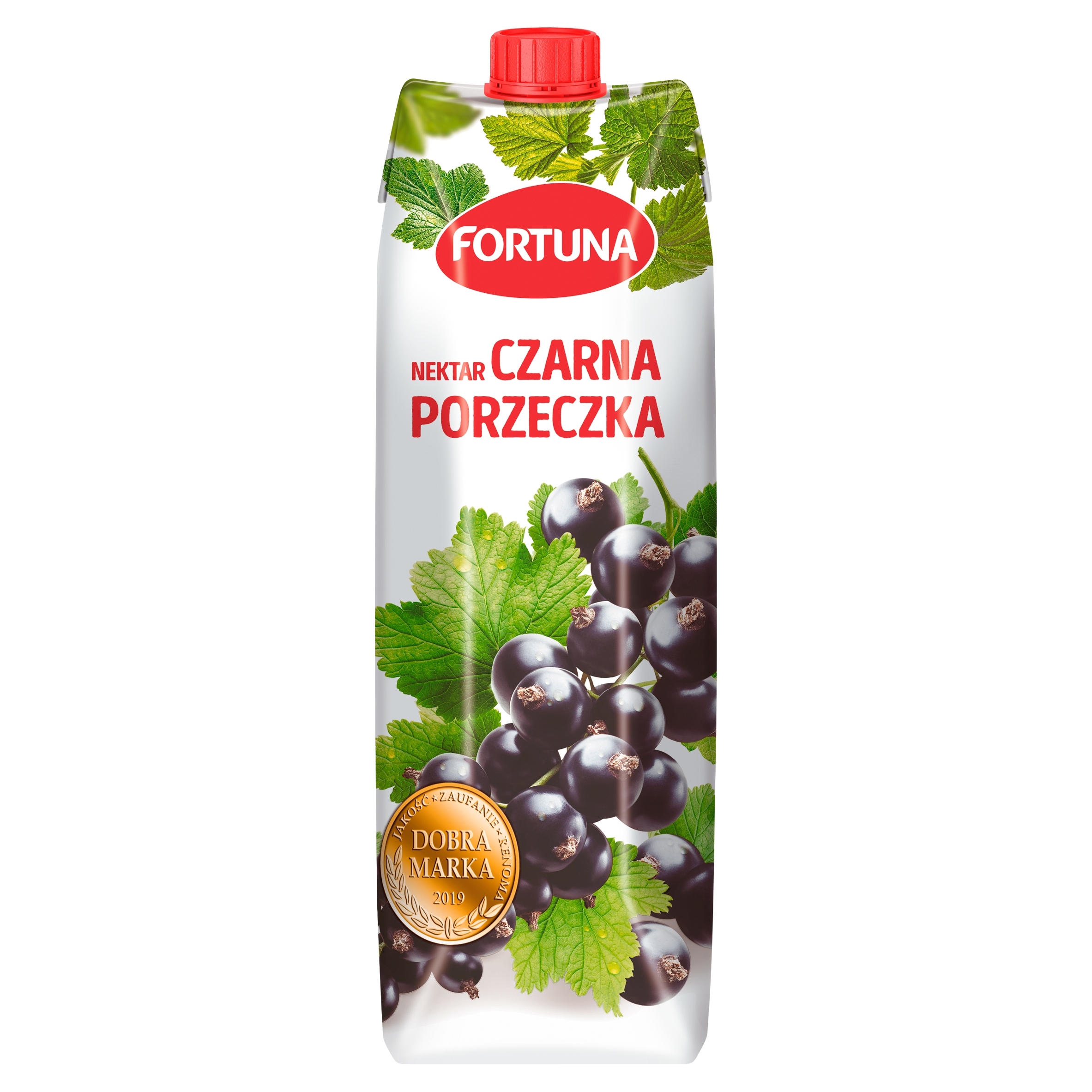 Levně Fortuna Nektar černý rybíz 6x1 l