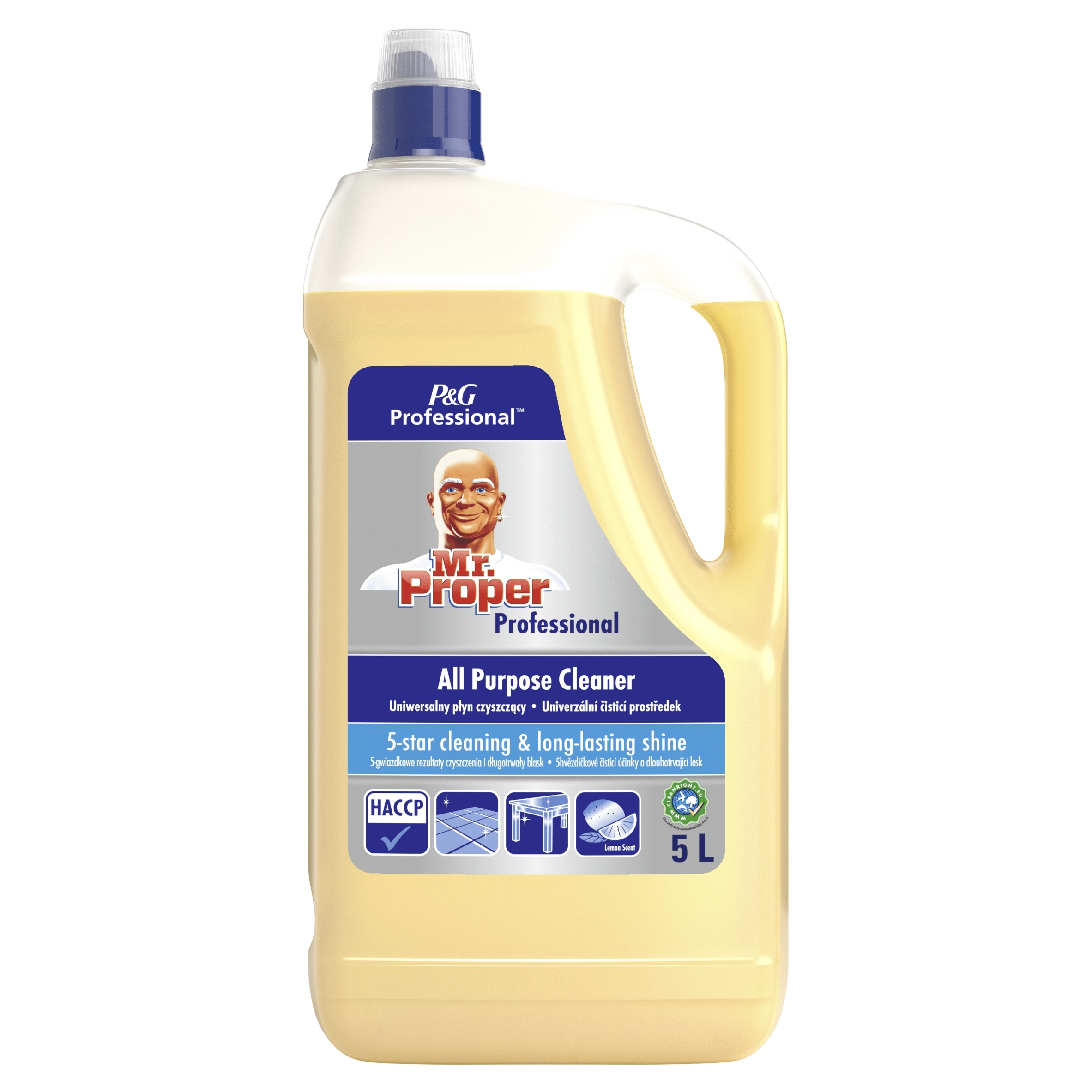 

Mr Proper Professional Płyn do mycia podłóg 5l