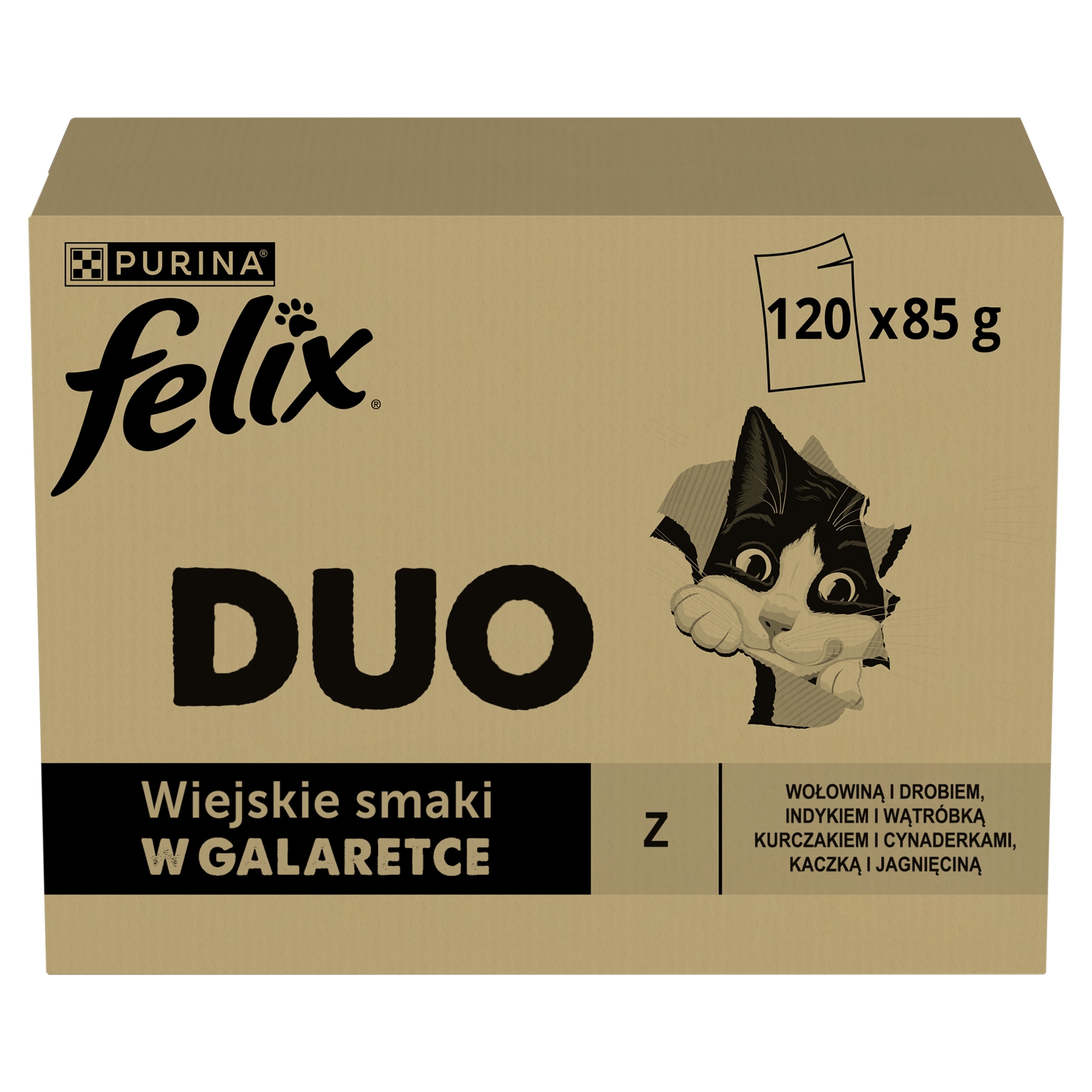 Karma dla kota Felix Fantastic Duo Mix smaków (120 x 85 g)