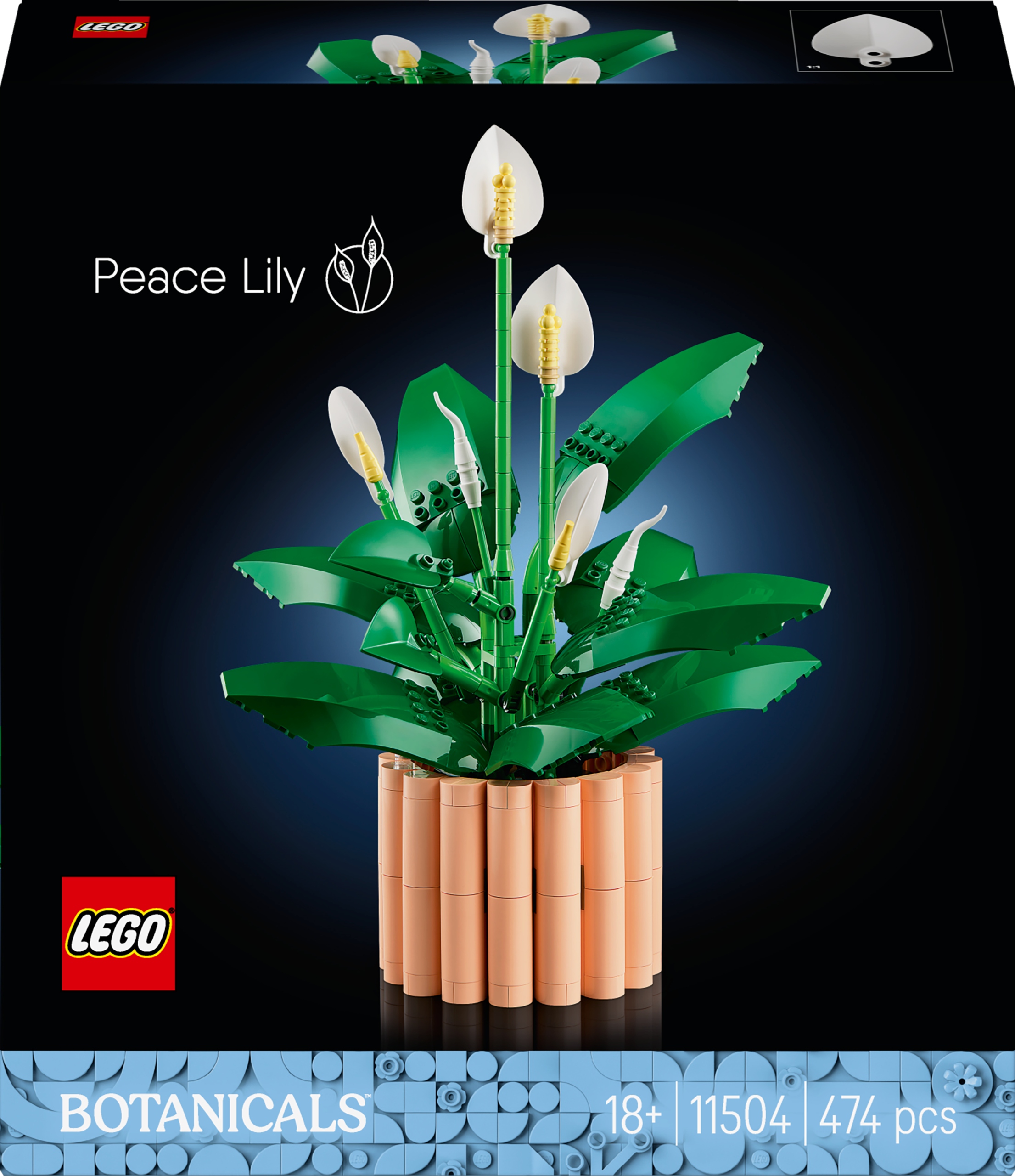 Lego Botanicals Na Walentynki Urodziny Klocki Premium Zestaw XXL