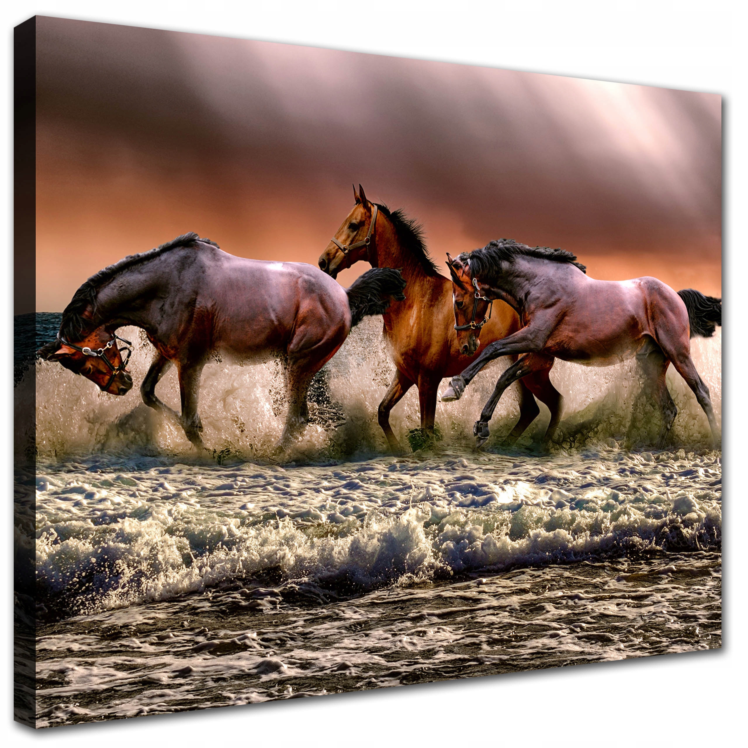 

Obraz do kuchni 50x40 Konie W Morzu