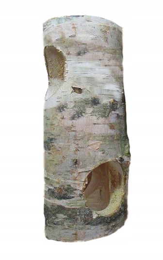 

Drewniany tunel gryzak królika gryzoni 20cm p25