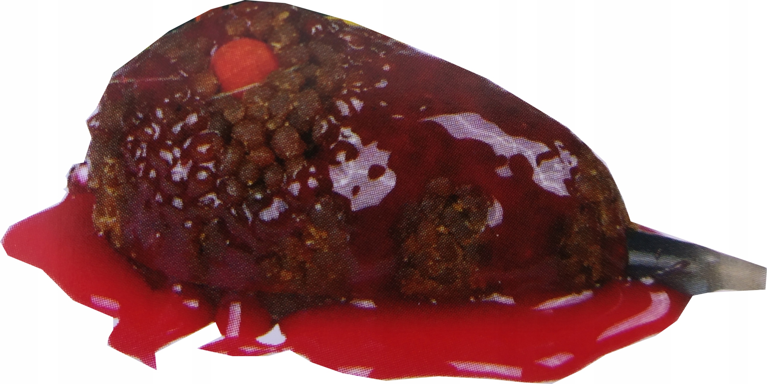 Booster Profess DIP METHOD FEEDER KOKOS SCOPEX EAN (GTIN) 5904044002257