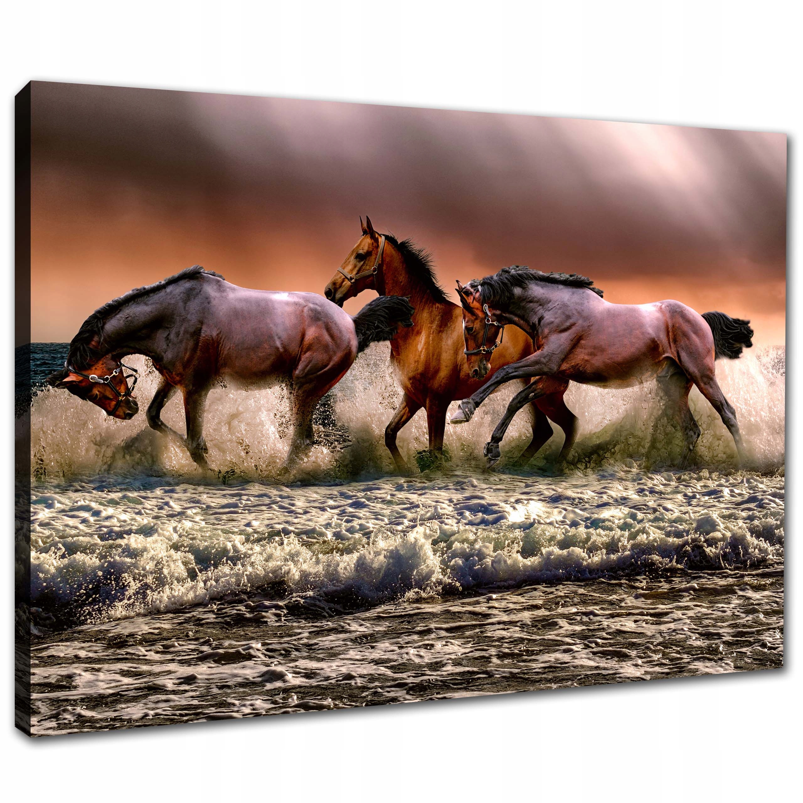 

Obraz do salonu 80x60 Konie w morzu