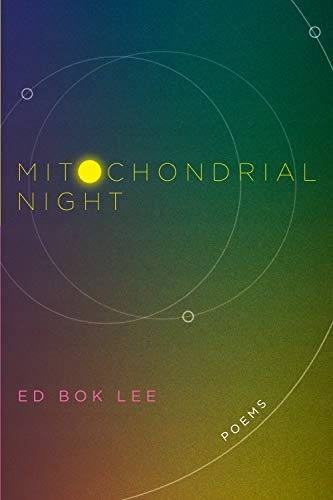 Mitochondrial Night Ed Bok Lee
