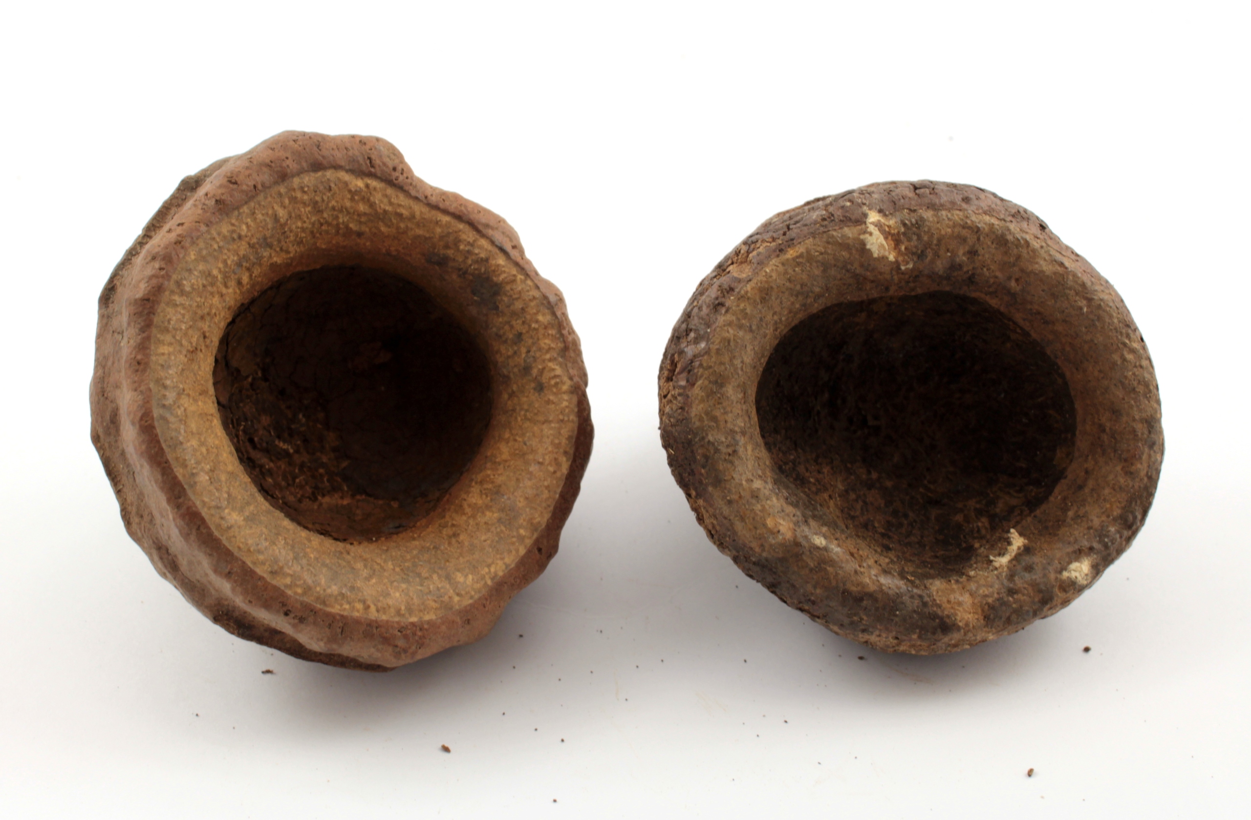 

Łupina Zinjo Mała 5-7cm kokos kryjówka ozdoba