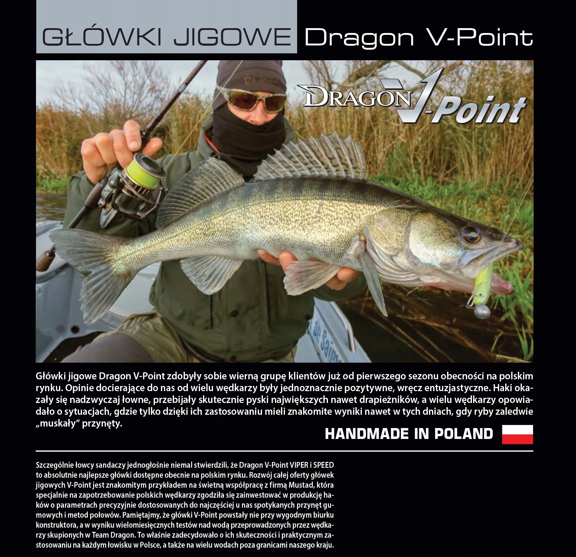 3x GŁÓWKA jigowa DRAGON SPEED 15g hak 4/0 15 g Model V-Point Speed