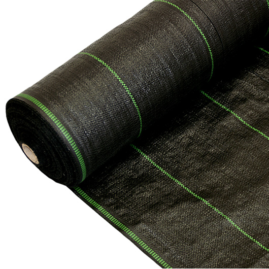 

Agrotkanina 70 gr Mata 1,6 x 100 mb 160 cm Czarna
