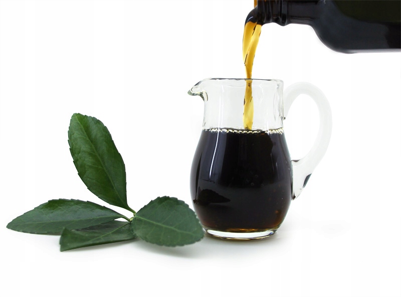 Korzeń szczeci ekstrakt w kroplach 100ml Borelioza