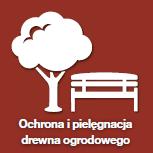 OLEJ DO TARASU Remmers Pflege Ol bezbarwny 2,5 L Marka Remmers