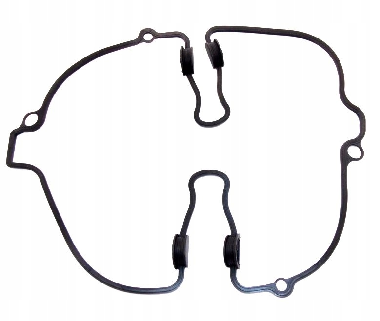 Tesnenie Krytu Ventilov Suzuki Gsf 650 Bandit