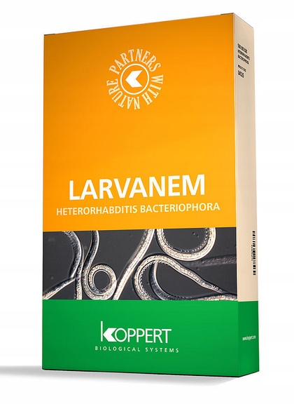 

Larvanem Nicienie 50 mln pędraki larwy opuchlaki