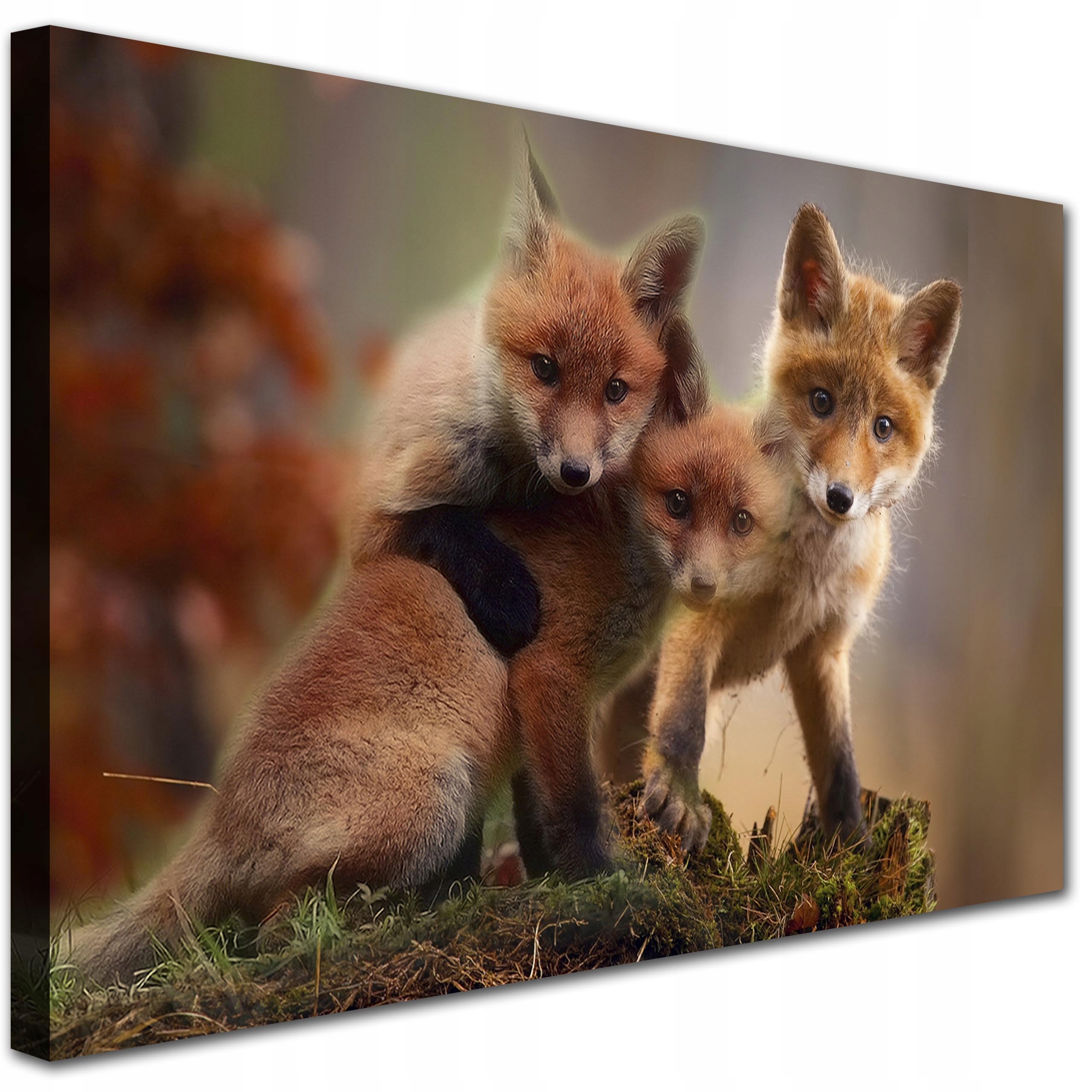 

Nowoczesny Obraz 90x60 Lis Natura