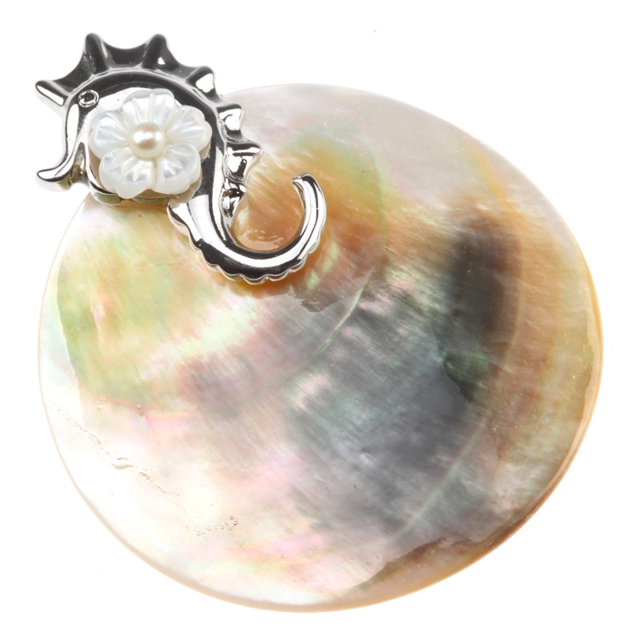 

Z873 Wisior Zawieszka Muszla Naturalna 46mm Metal