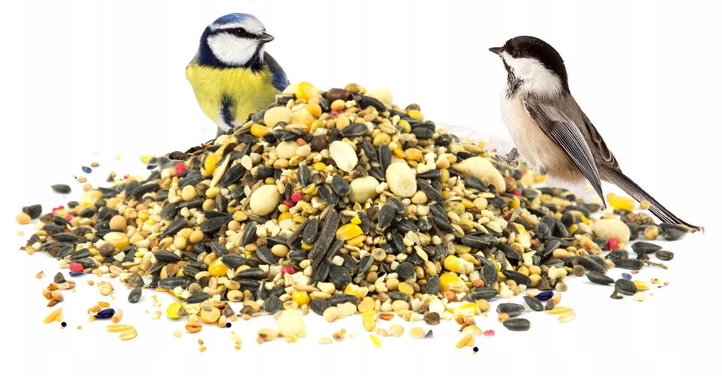 KARMA POKARM ZIARNO SŁONECZNIK DO KARMNIK DLA DZIKICH PTAKÓW ZIMUJĄCYCH Kod producenta Karma Orzech Słonecznik dla ptaków