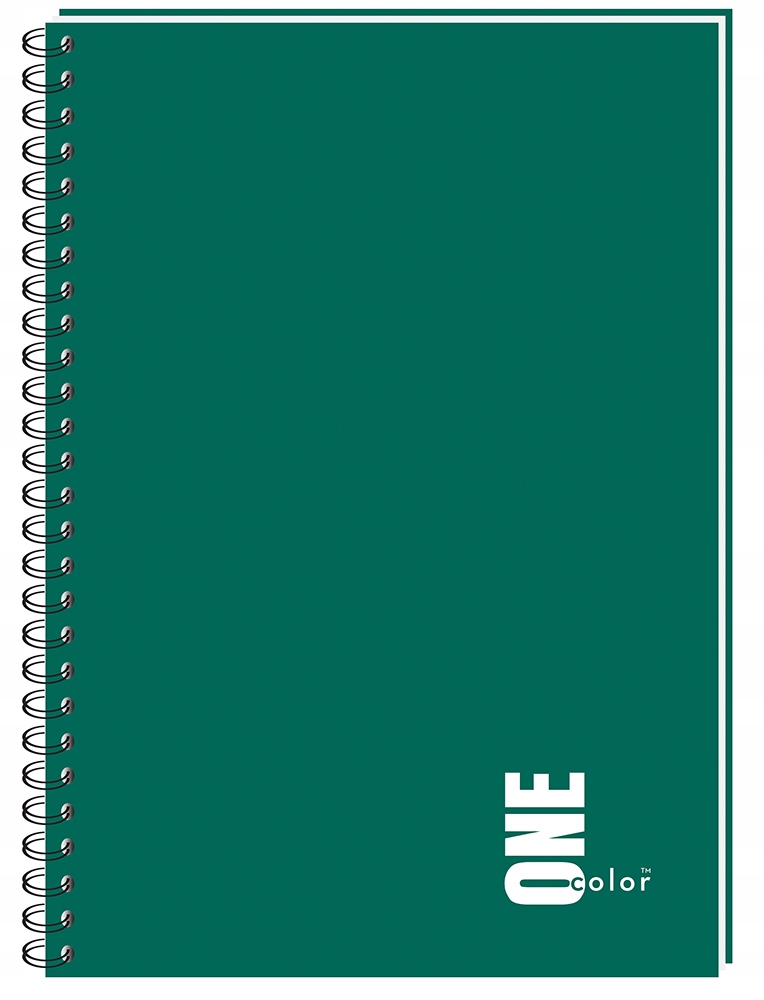 

Kołozeszyt A4 100 kratka kołonotatnik one color