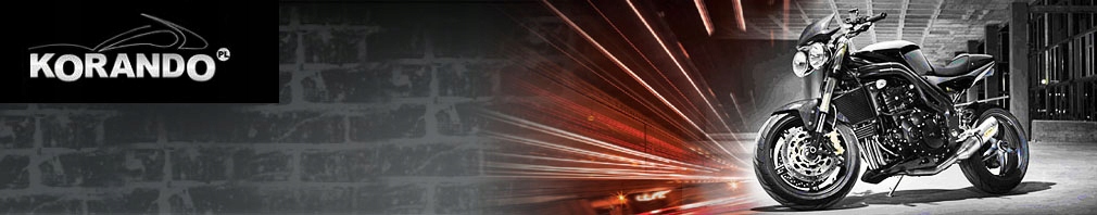 ROLKI TYLNEJ OSI Z MOCOWANIEM YAMAHA MT-07 2014- Producent Womet-tech