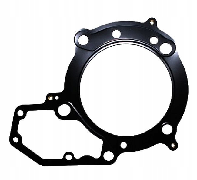 Tesnenie Hlavy Bmw R 1100 Rs 98-01