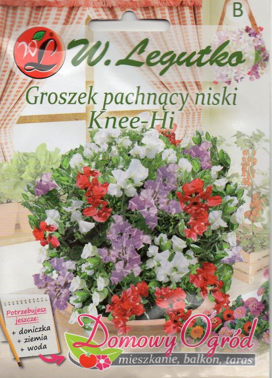 Nasiona Groszek pachnący czerwony, 3g — 9