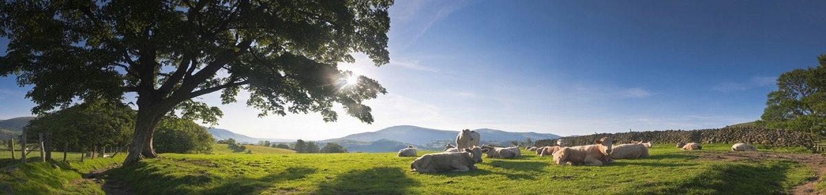 PASTUCH ZESTAW BRAMOWY UCHWYT, SPRĘŻYNA, IZOLATORY Kod producenta 44945