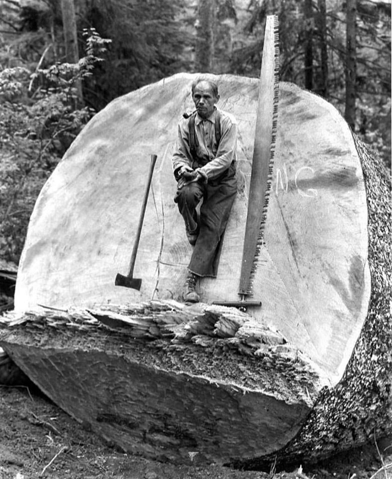 Wzmacniany Starter Piły NAC TT-CS 5200 | EasyStart Kod producenta PRO-ES-4500