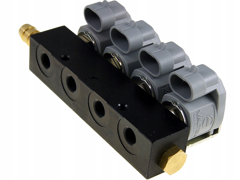 LISTWA WTRYSKOWA VALTEK TYP30 2OHM SZARY 4 CYL Part number 30 EVG 151