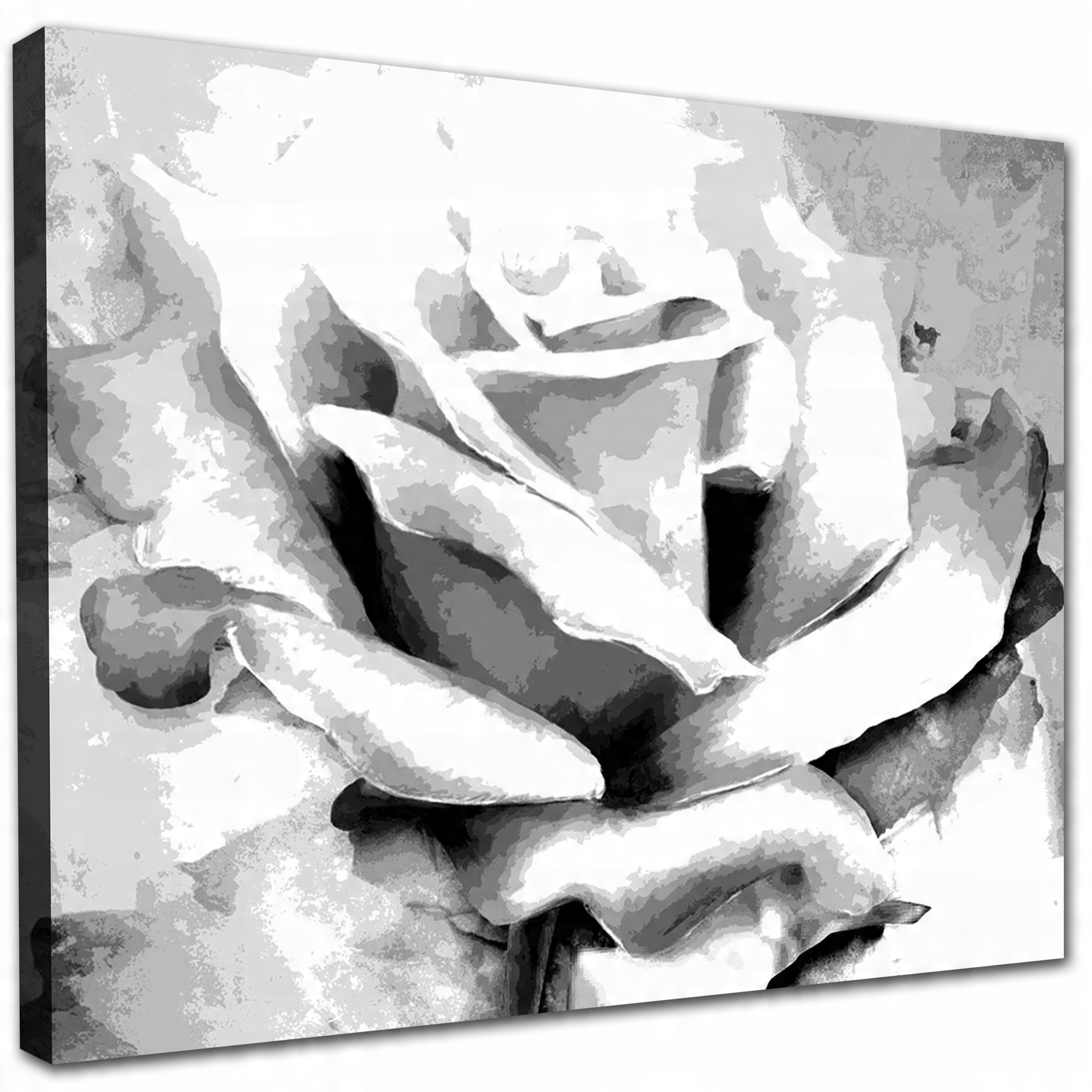 

Obraz na płótnie Róża Czerń I Biel 50x40