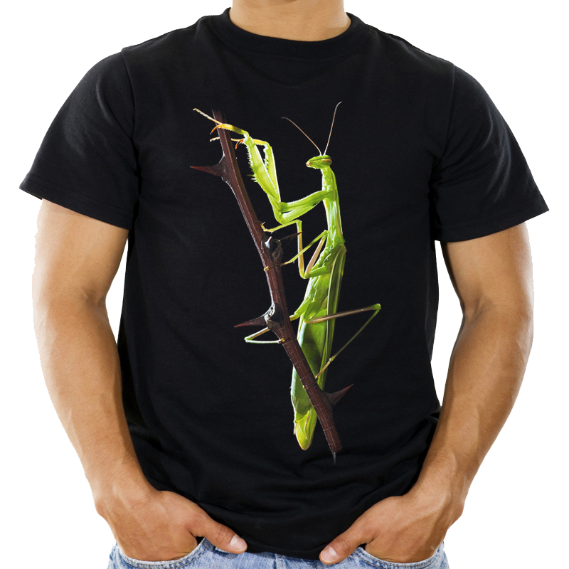 

Koszulka z Modliszką owadem Modliszka t-shirt XL