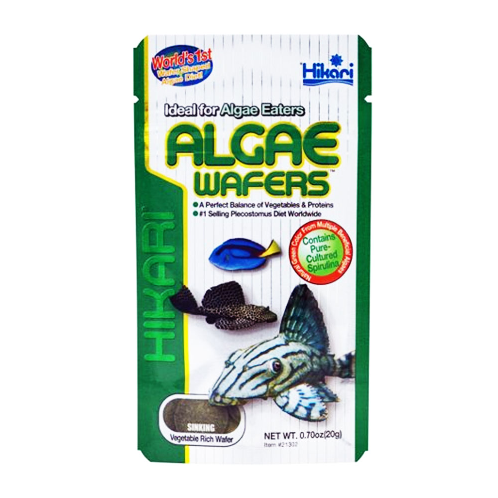 HIKARI ALGAE WAFERS 20g - POKARM DLA GLONOJADÓW