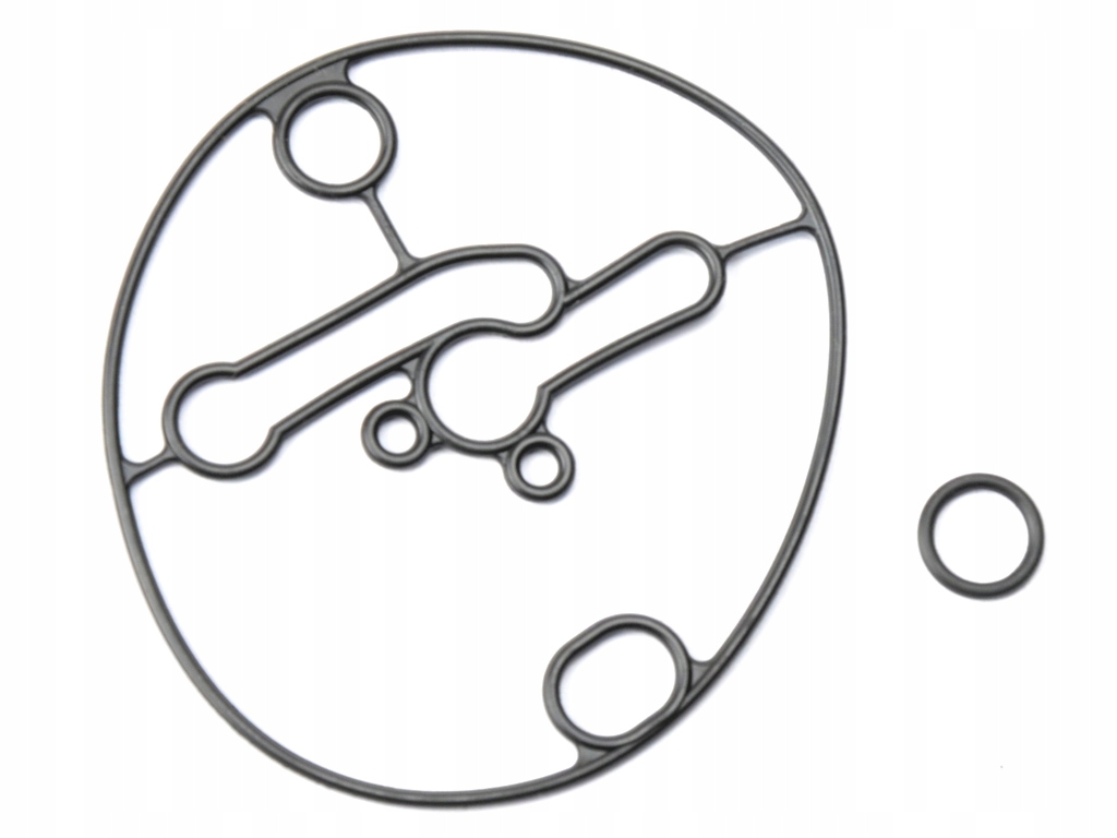 USZCZELKA KOMORY GAŹNIKA BRIGGS STRATTON 698781