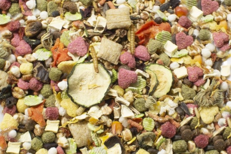 JR FARM FOOD POKARM DLA SZCZURA RAT 500G 13652 Kod producenta 13652