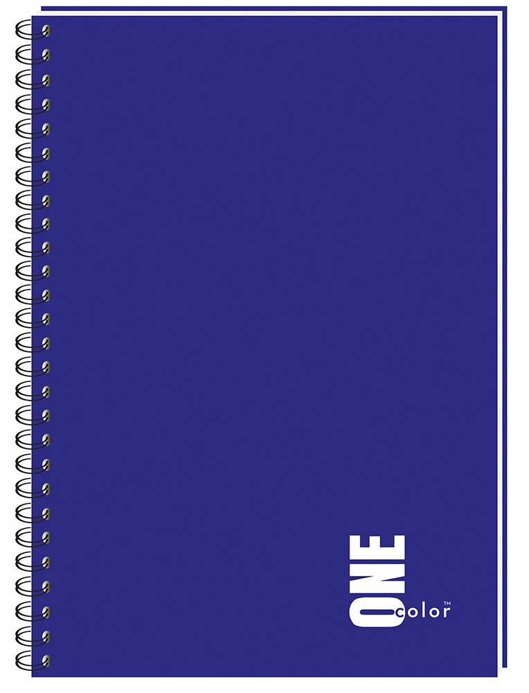 Kołozeszyt A4 100 kratka kołonotatnik one color Marka Interdruk