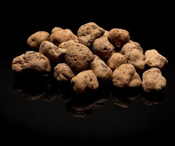 Keramzyt do doniczek Rodzaj keramzyt