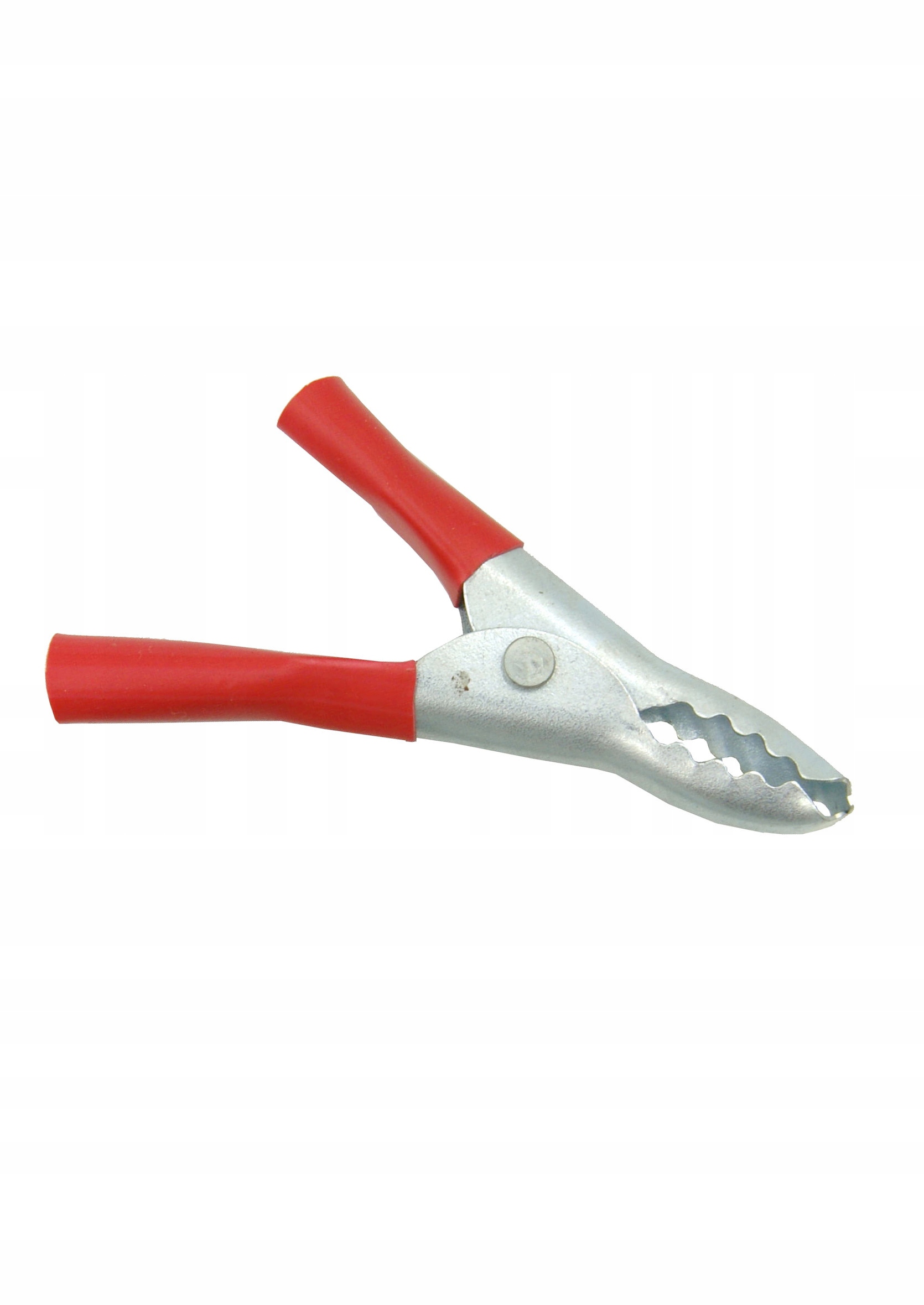 

Krokodylek Czerwony 65mm Izolowany