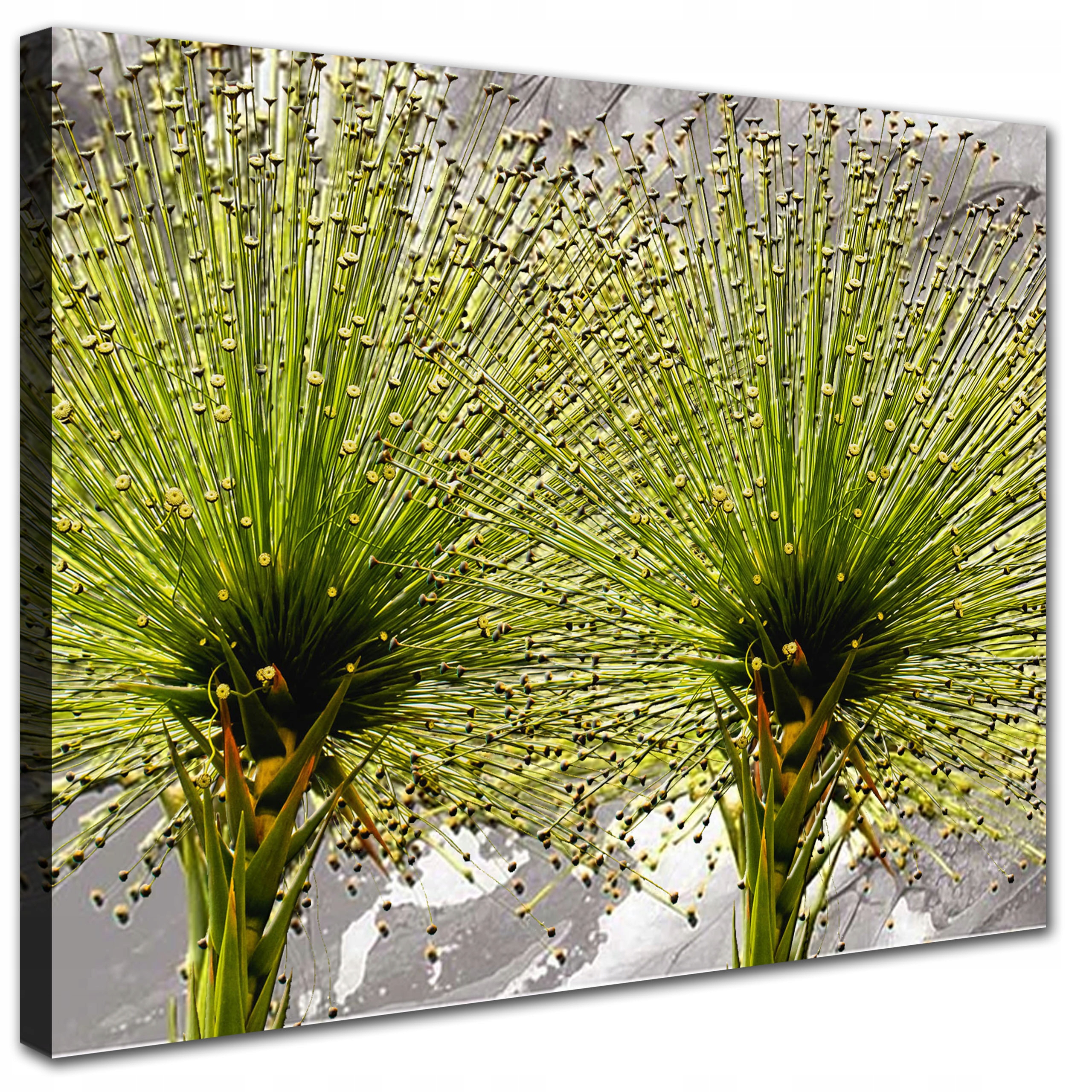 

Obraz do salonu Dmuchawiec 50x40