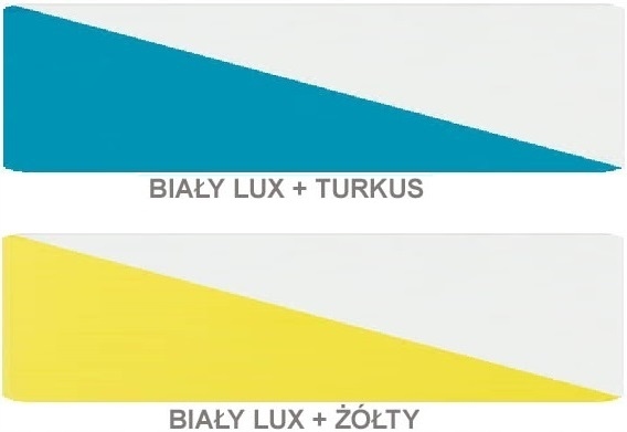 łóżko wysokie wysuwane biurko szafka kolor MOBI 21 Typ łóżko piętrowe